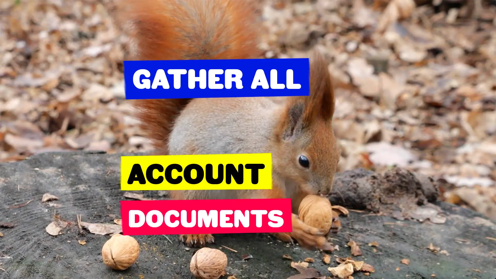 business checking account registration documents